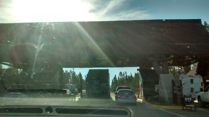 Hello again, Yellowstone. I've waited 10 long years to see you again.