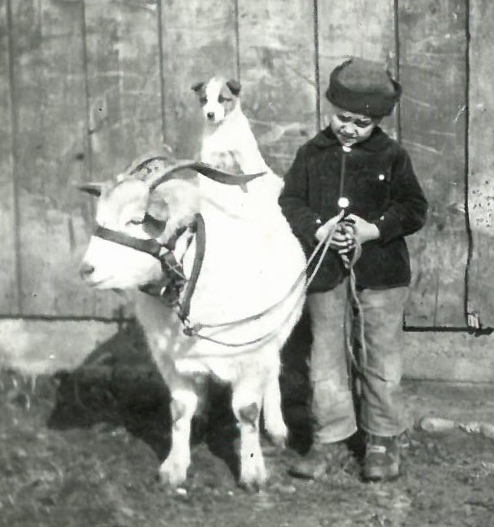 1925 billy the goat and bob the dog